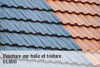 Peinture sur tuile et toiture  charnoz-sur-ain-01800 Beaudier Couverture 