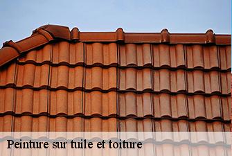 Peinture sur tuile et toiture  charnoz-sur-ain-01800 Beaudier Couverture 