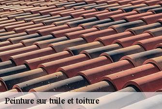 Peinture sur tuile et toiture  charnoz-sur-ain-01800 Beaudier Couverture 
