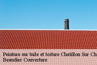 Peinture sur tuile et toiture  chatillon-sur-chalaronne-01400 Beaudier Couverture 