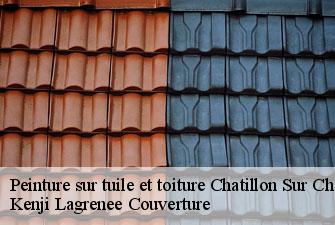 Peinture sur tuile et toiture  chatillon-sur-chalaronne-01400 Kenji Lagrenee Couverture