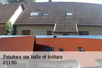 Peinture sur tuile et toiture  chavannes-sur-reyssouze-01190 Renov Pro 01