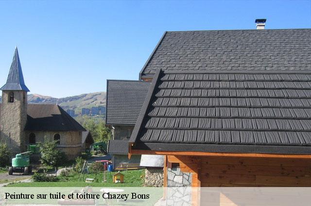 Peinture sur tuile et toiture  chazey-bons-01300 