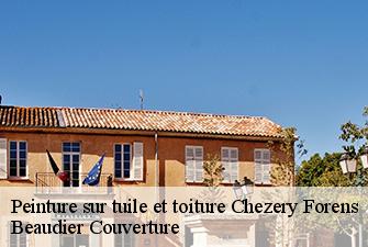 Peinture sur tuile et toiture  chezery-forens-01200 Beaudier Couverture 