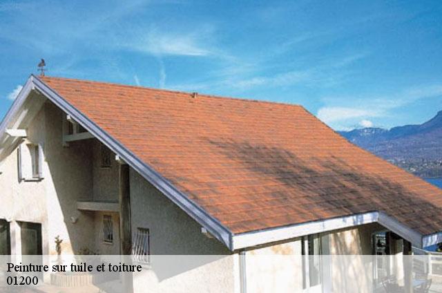 Peinture sur tuile et toiture  chezery-forens-01200 