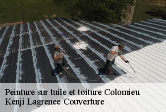 Peinture sur tuile et toiture  colomieu-01300 Kenji Lagrenee Couverture