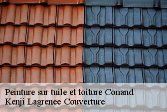 Peinture sur tuile et toiture conand-01230 Kenji Lagrenee Couverture