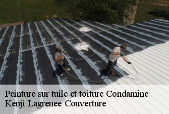 Peinture sur tuile et toiture condamine-01430 Kenji Lagrenee Couverture