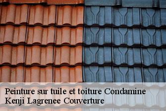 Peinture sur tuile et toiture condamine-01430 Kenji Lagrenee Couverture