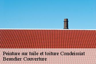 Peinture sur tuile et toiture  condeissiat-01400 Beaudier Couverture 