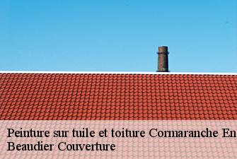 Peinture sur tuile et toiture  cormaranche-en-bugey-01110 Beaudier Couverture 