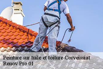 Peinture sur tuile et toiture  corveissiat-01250 Renov Pro 01