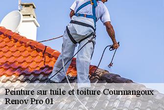 Peinture sur tuile et toiture  courmangoux-01370 Renov Pro 01