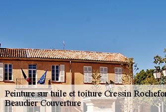 Peinture sur tuile et toiture  cressin-rochefort-01350 Beaudier Couverture 