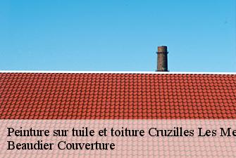 Peinture sur tuile et toiture  cruzilles-les-mepillat-01290 Beaudier Couverture 