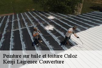 Peinture sur tuile et toiture culoz-01350 Kenji Lagrenee Couverture