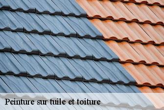 Peinture sur tuile et toiture domsure-01270 Kenji Lagrenee Couverture