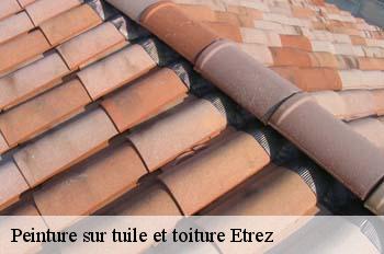 Peinture sur tuile et toiture  etrez-01340 