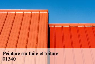 Peinture sur tuile et toiture  etrez-01340 Kenji Lagrenee Couverture