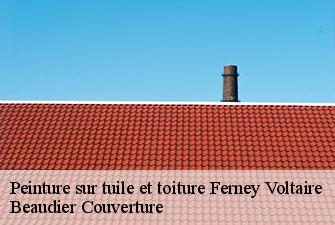 Peinture sur tuile et toiture  ferney-voltaire-01210 Beaudier Couverture 
