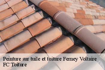 Peinture sur tuile et toiture  ferney-voltaire-01210 FC Toiture