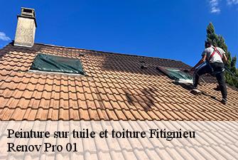 Peinture sur tuile et toiture  fitignieu-01260 Renov Pro 01