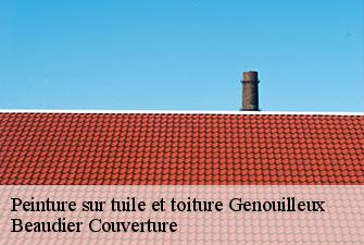 Peinture sur tuile et toiture  genouilleux-01090 Beaudier Couverture 