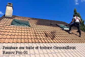Peinture sur tuile et toiture  genouilleux-01090 Renov Pro 01