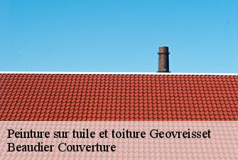 Peinture sur tuile et toiture  geovreisset-01100 Beaudier Couverture 