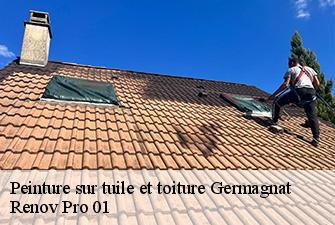 Peinture sur tuile et toiture  germagnat-01250 Renov Pro 01
