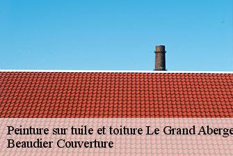 Peinture sur tuile et toiture  le-grand-abergement-01260 Beaudier Couverture 