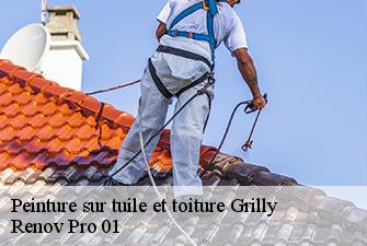 Peinture sur tuile et toiture  grilly-01220 Renov Pro 01