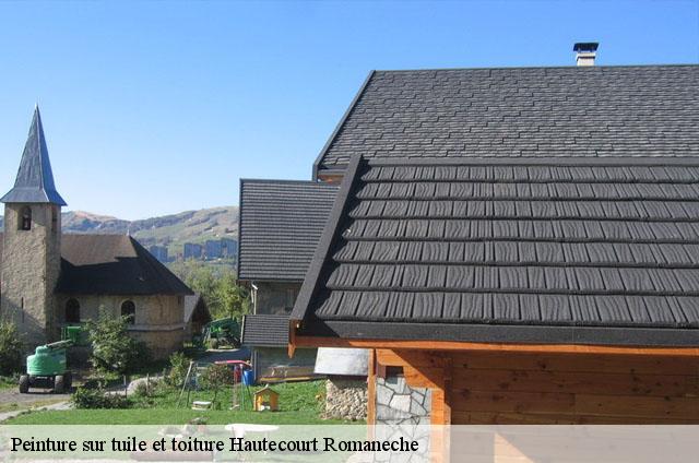 Peinture sur tuile et toiture  hautecourt-romaneche-01250 