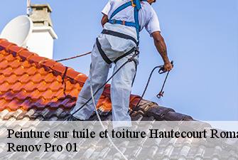 Peinture sur tuile et toiture  hautecourt-romaneche-01250 Renov Pro 01