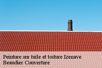 Peinture sur tuile et toiture  izenave-01430 Beaudier Couverture 