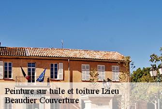 Peinture sur tuile et toiture  izieu-01300 Beaudier Couverture 