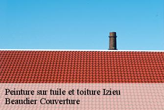 Peinture sur tuile et toiture  izieu-01300 Beaudier Couverture 