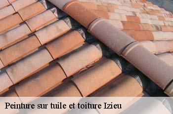 Peinture sur tuile et toiture  izieu-01300 