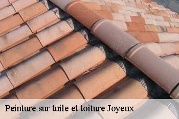 Peinture sur tuile et toiture  joyeux-01800 