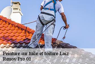Peinture sur tuile et toiture  laiz-01290 Renov Pro 01