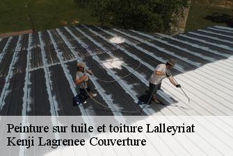 Peinture sur tuile et toiture lalleyriat-01130 Kenji Lagrenee Couverture
