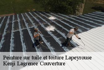 Peinture sur tuile et toiture  lapeyrouse-01330 Kenji Lagrenee Couverture