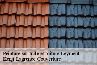 Peinture sur tuile et toiture  leyment-01150 Kenji Lagrenee Couverture