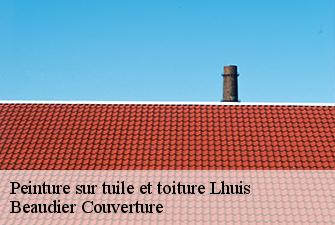 Peinture sur tuile et toiture  lhuis-01680 Beaudier Couverture 