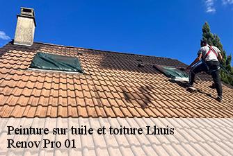 Peinture sur tuile et toiture  lhuis-01680 Renov Pro 01