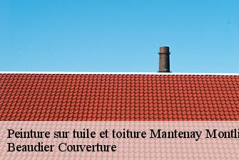 Peinture sur tuile et toiture  mantenay-montlin-01560 Beaudier Couverture 