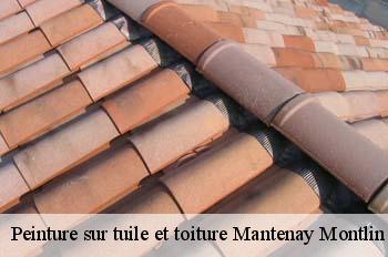 Peinture sur tuile et toiture  mantenay-montlin-01560 