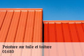 Peinture sur tuile et toiture  marchamp-01680 Kenji Lagrenee Couverture