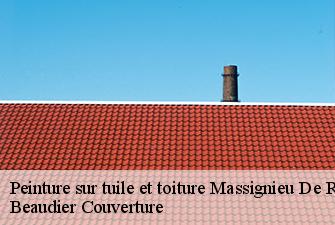 Peinture sur tuile et toiture  massignieu-de-rives-01300 Beaudier Couverture 