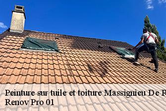 Peinture sur tuile et toiture  massignieu-de-rives-01300 Renov Pro 01